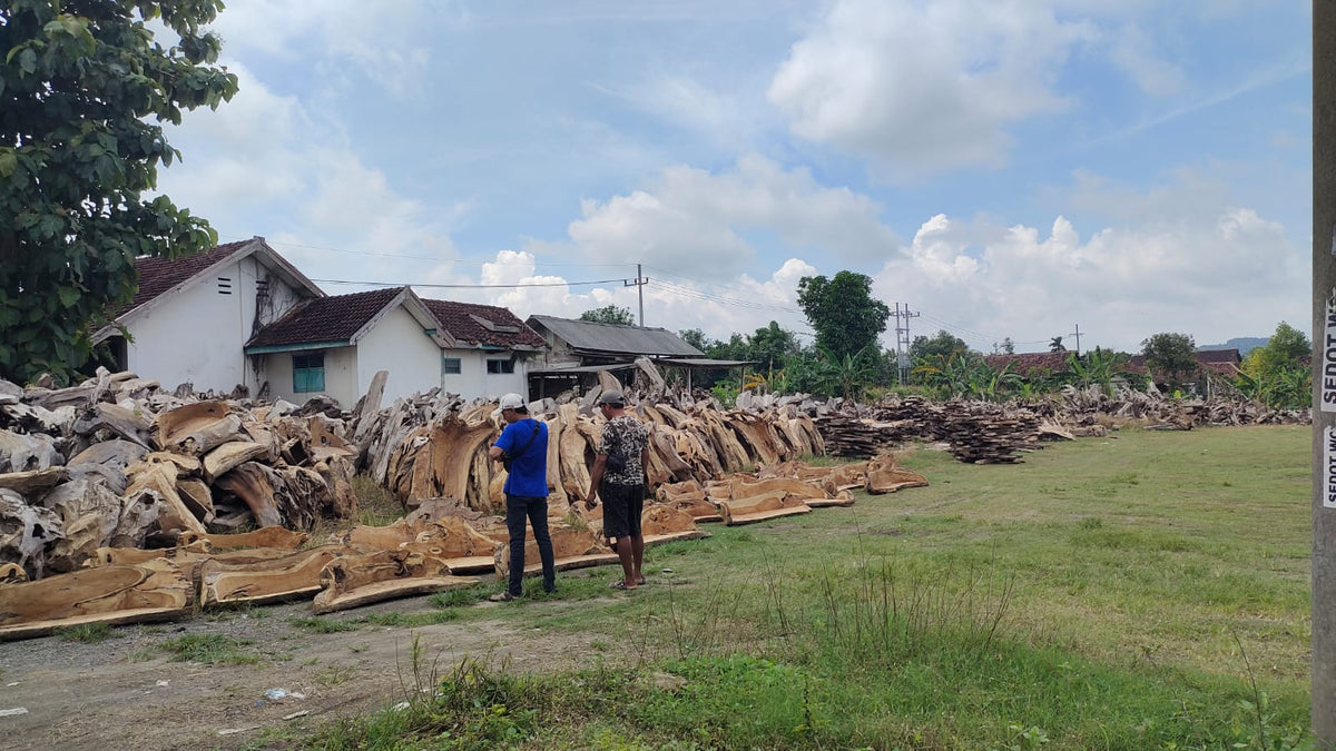 Two people standing near a large pile of logs with a house and trees in the background.