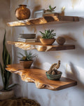 Four live edge teak root floating wall shelves styled with plants, pottery, and natural home decor